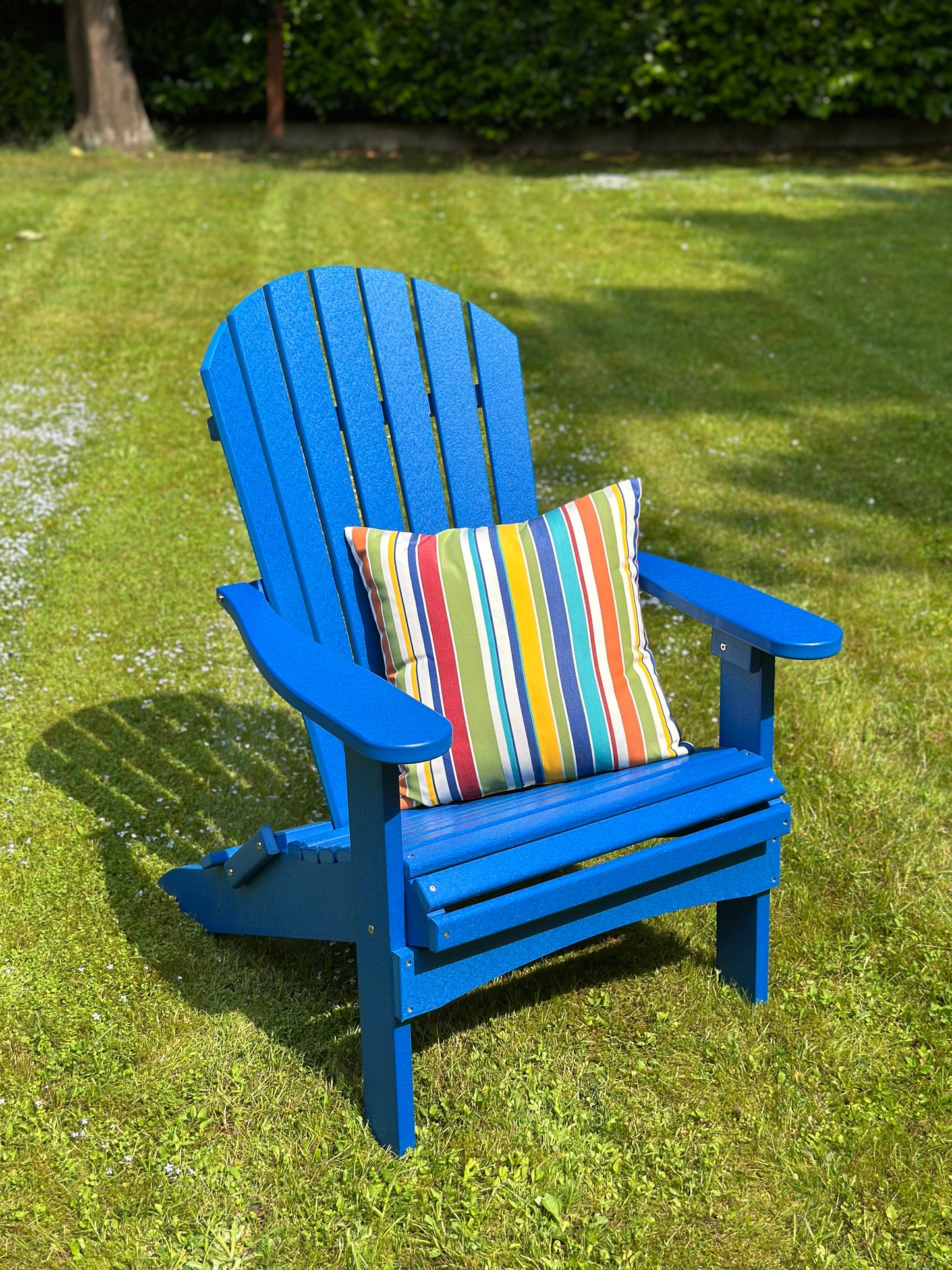 Decoratiekussen Adirondacks